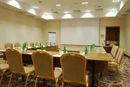 Hilton Garden Inn Rzeszów - Rzeszów - 16