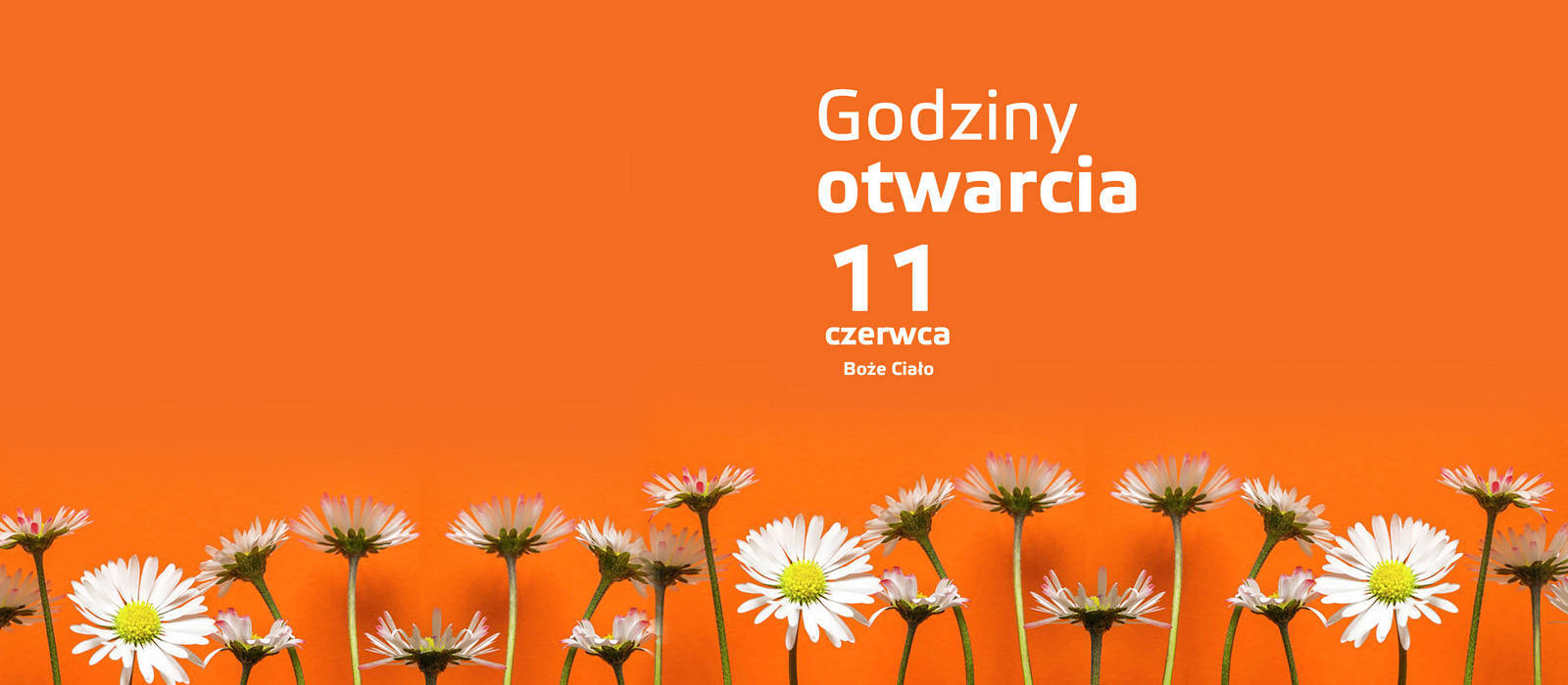 Godziny otwarcia - 1