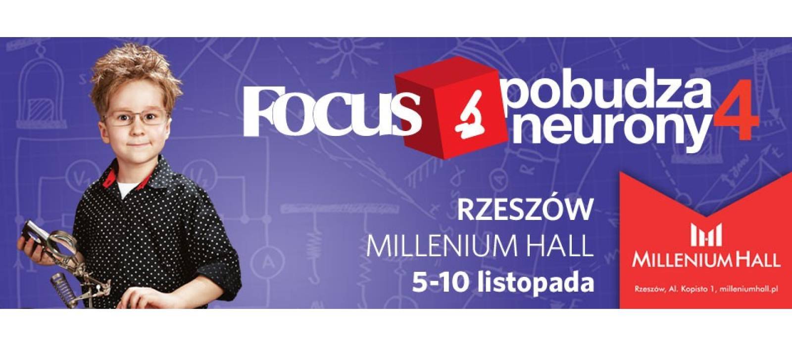 Focus Pobudza Neurony 4 - 1