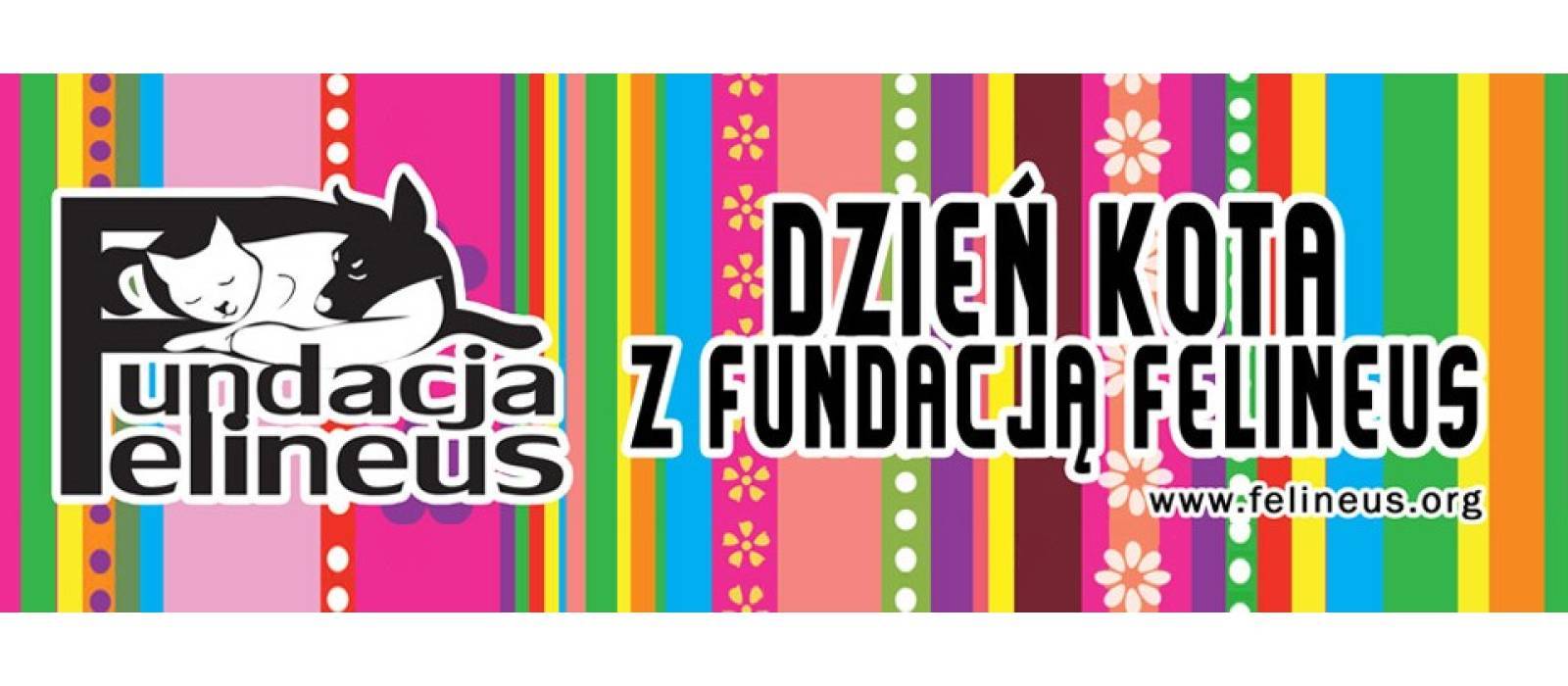 Dzień Kota z Fundacją Felineus - 1