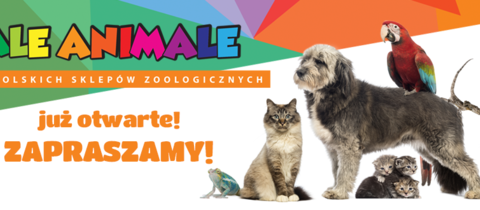 AleAnimale już otwarte