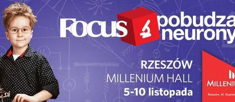 Focus Pobudza Neurony 4