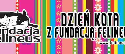 Dzień Kota z Fundacją Felineus