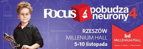 Focus Pobudza Neurony 4