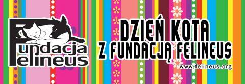 Dzień Kota z Fundacją Felineus