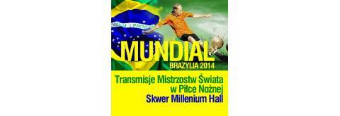 Mundial 2014 - Transmisje na dużym ekranie.